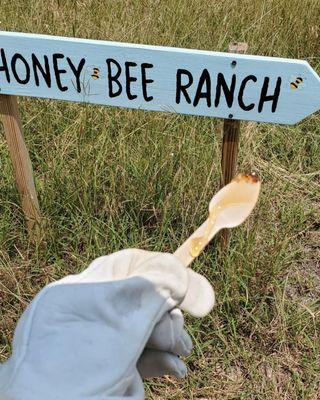 Fresh honey straight off the comb!