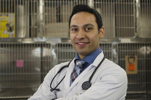 Dr. Gill is your other family doctor