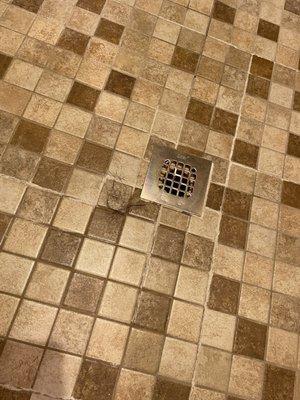 Hair on shower floor