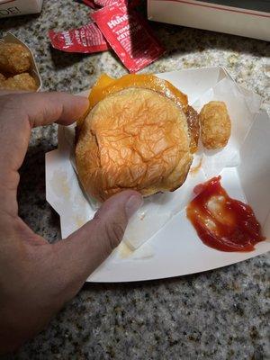 Crappy ass "burger"