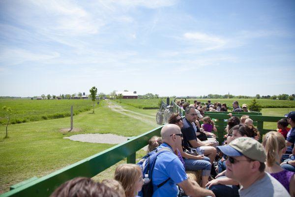 Enjoy a hayride.