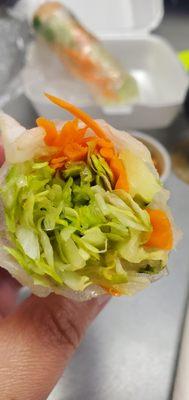 Inside the Spring Roll