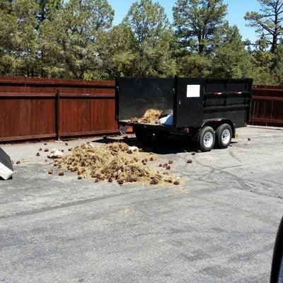 This is how some residents treat the wonderfully clean disposal area. Just dump their yard waste right behind the trailer.