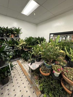 Inside the store