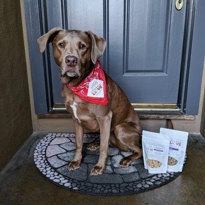 Miss Riley delivering our LBLtreats. We offer free delivery, 20 miles from Campbell, CA.