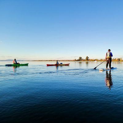 Fall and winter offer the best paddling conditions and wildlife viewing opportunities.