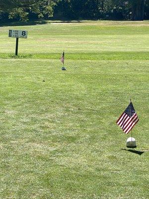 American flags on the tees over the July 4th weekend.