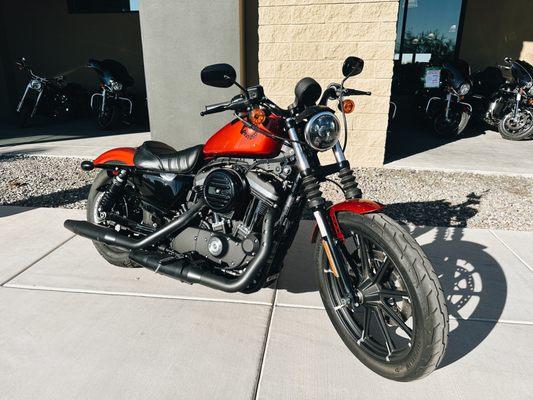 2019 HD Iron 883 from Road Runner Harley-Davidson