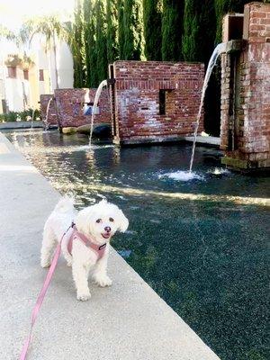 Fountains and Fendi