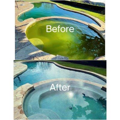 Got a green pool ??