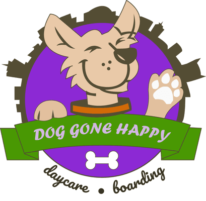 Dog Gone Happy | Doggy Day Care & Boarding