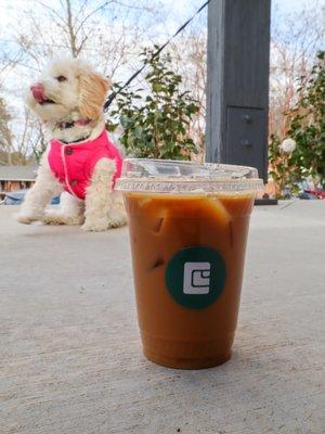 Cold Brew & Pup