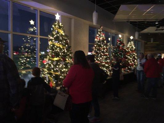 display of Christmas Trees