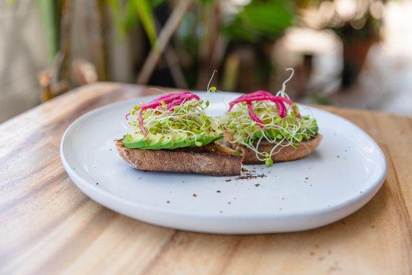 Avocado Toast