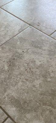 Dirty tile floor.