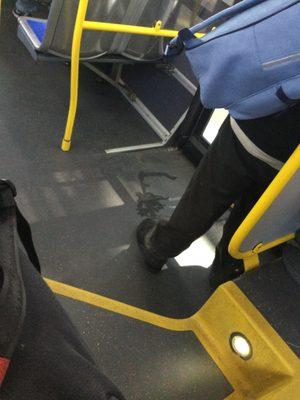 Man peed all over the bus disgusting  I wouldn't recommend