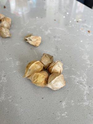 Ground cherries my new favorite, never heard of them until this summer