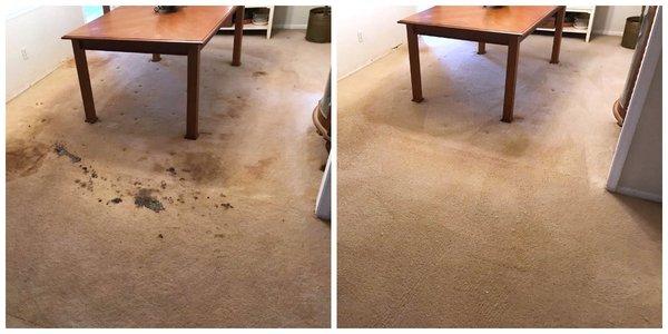 Before & After Carpet Cleaning with McGeorge Brothers Chem-Dry