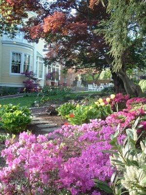 Great American Landscapes Plantings