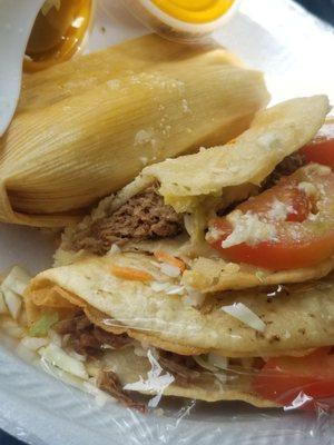 Shredded beef tacos and tamale. All was delicious.