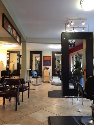 Stephen Harvey Salon