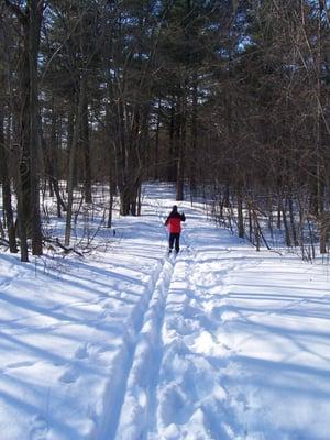 Cross country skiing at Van Buren SP