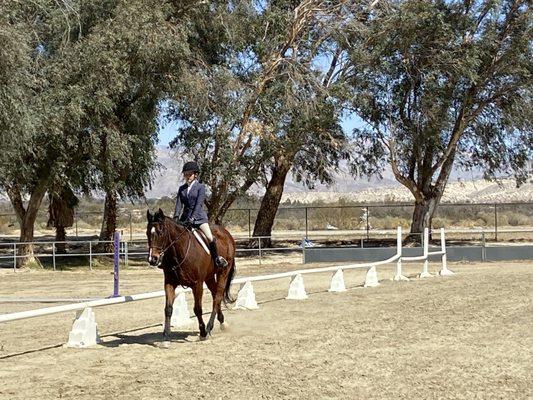 Hunter jumper show