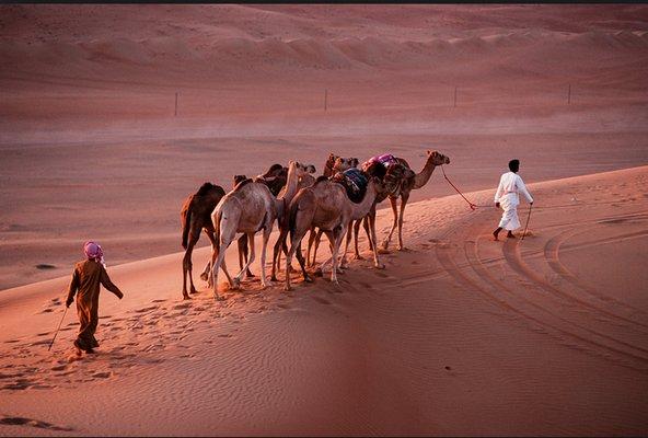 Seminar in the Sahara desert