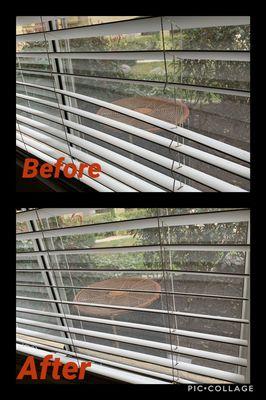 Need your blinds repaired? Call today for an appointment!