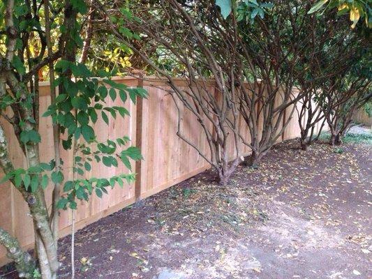 6ft cedar fence by Alki Fence