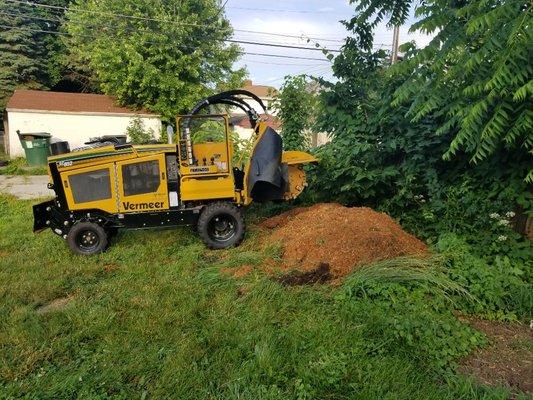 This picture shows one of our stump grinders onsite.  This was a larger stump that had just been completed.