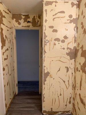 Suzette C. - Bathroom Remodel (paneling removal)