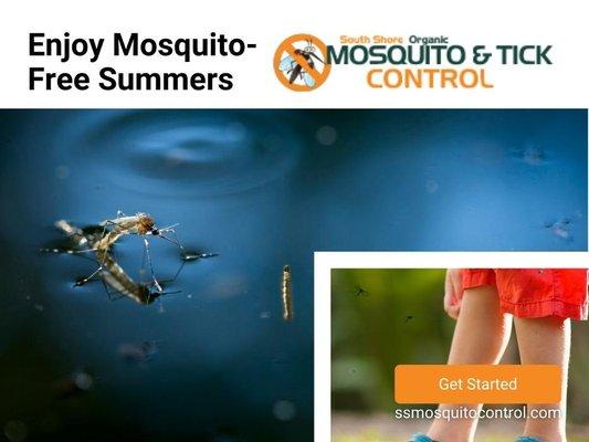 3_South Shore Mosquito & Tick Control_Enjoy Mosquito-Free Summers.jpg