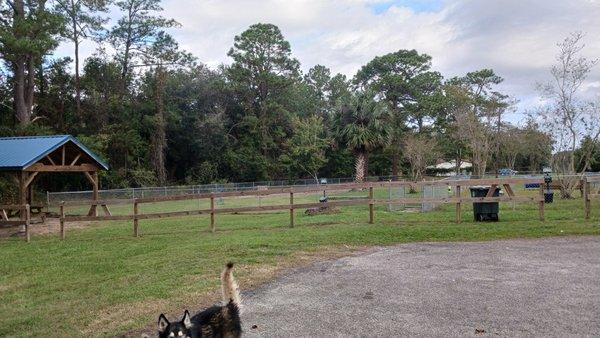 Catfish Creek Dog Park