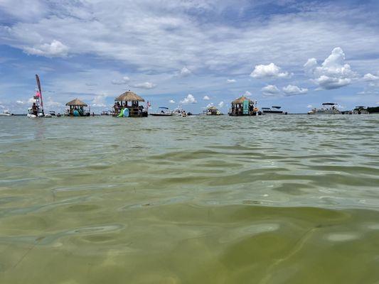 Crab island