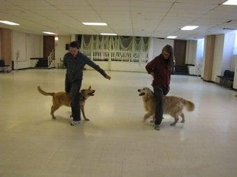 Canine freestyle class- learn to dance with your dog. This class meets on Thursdays at 5pm.