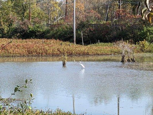 A great water area within the park.