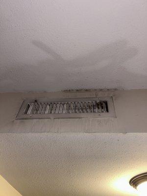 Moldy air vent