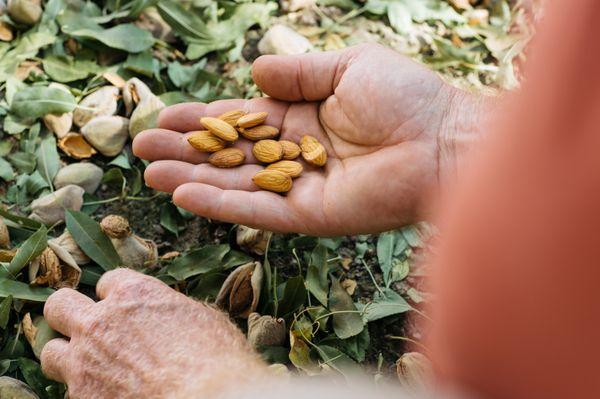 Food photography for culinary producers and food suppliers.