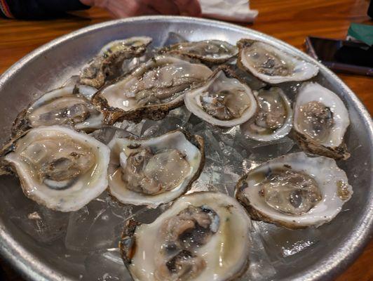 oysters