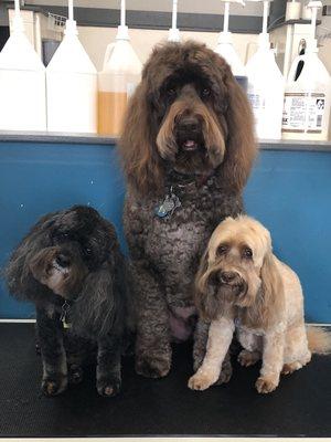 Charlie , Sophie , and Morgan.   What a cute family