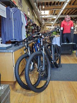 They can't keep these fat tire bikes in the store, very popular.