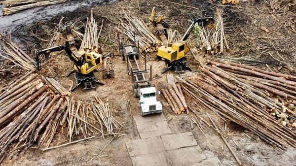 Southeast Logging