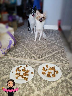 Broke up the pupper dough snack and they loved it!