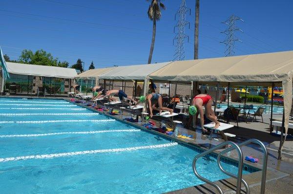 Broadstone Lap Pool