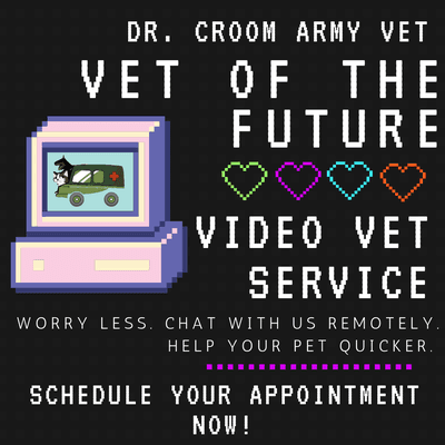 Try our Video Vet Service. Remote veterinary medical care for non emergencies!