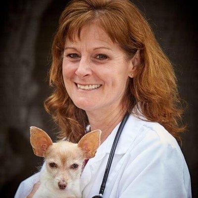 Dr. Perry: with advanced training in companion animals, chronic disease management, and prevention.