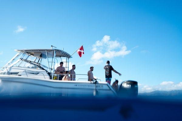 Hawaii Adventure Diving