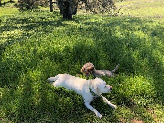 Taking a break in the shade while hiking!