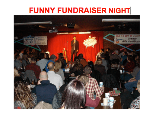 Comedy Fundraisers for Sports Teams or Civic Groups